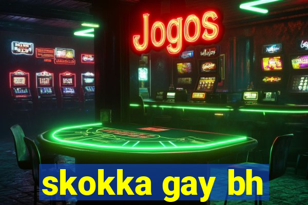 skokka gay bh